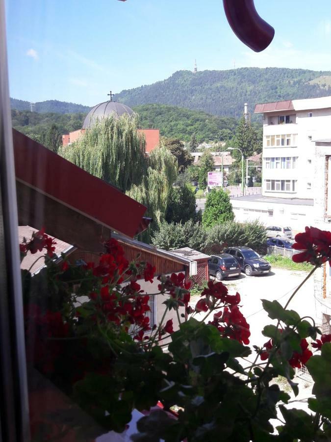 Felicita Lägenhet Braşov Exteriör bild